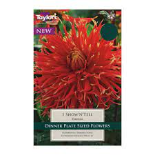 1 DAHLIA SHOW'N'TELL I