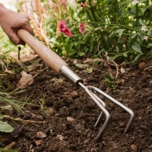 3 Prong Cultivator KS SS Border - Image 3