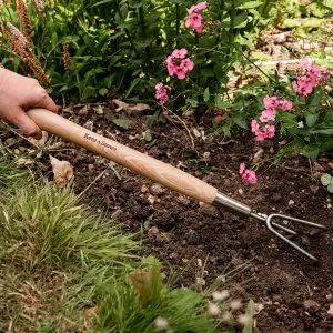 3 Prong Cultivator KS SS Border - Image 4