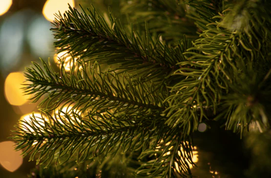 6 1/2 Feel Real Newberry Spruce  Tree with 650 Warm White LED Lights & Caps-BS - Image 3