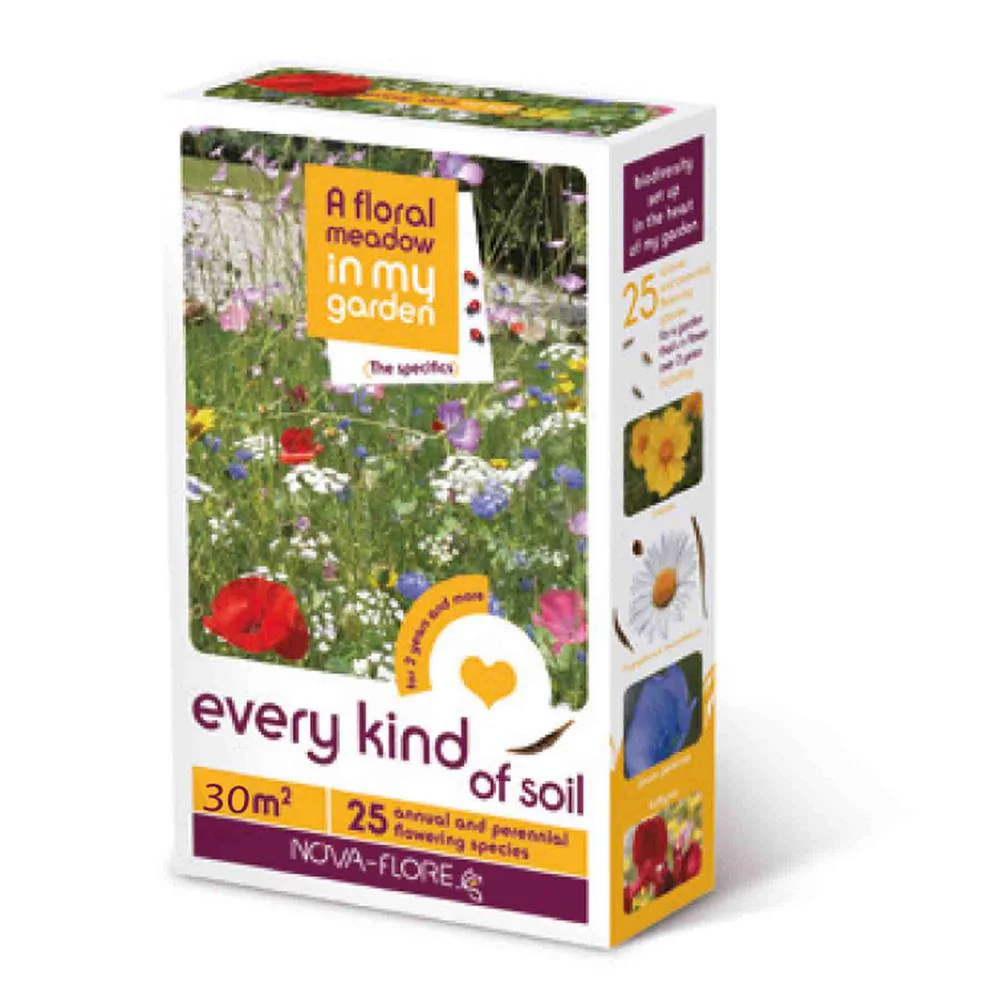 A Floral Meadow - EVERY SOIL TYPE  30sqm FLOWER