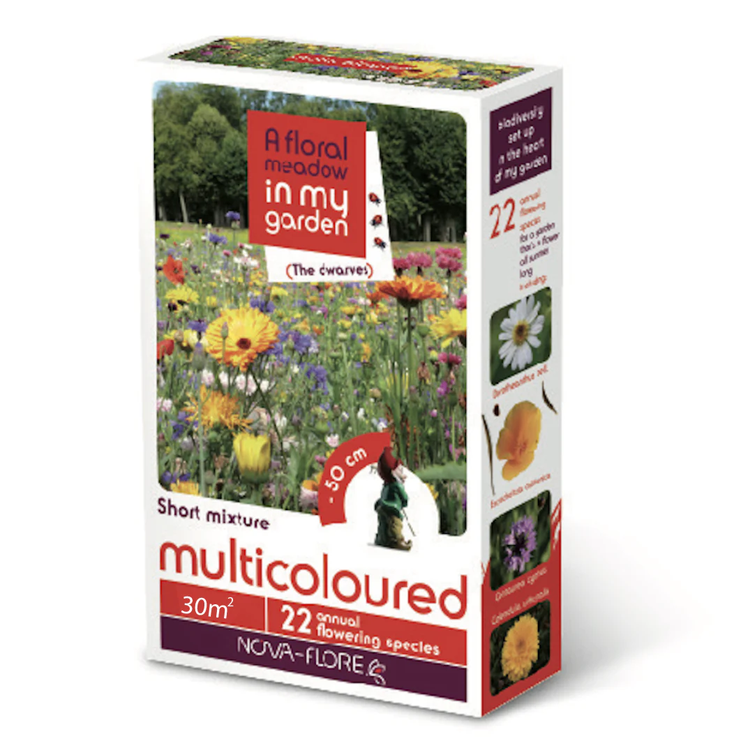 A Floral Meadow - MULTI COLOURED  30 sqm FLOWER