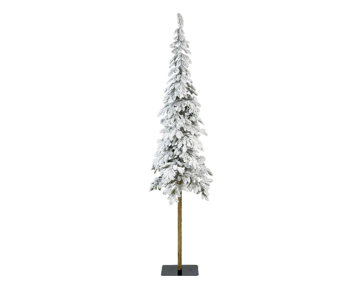 Alpine fir snowy 5ft