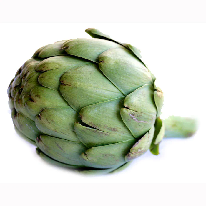 ARTICHOKE GLOBE ARTICHOKE - Image 2