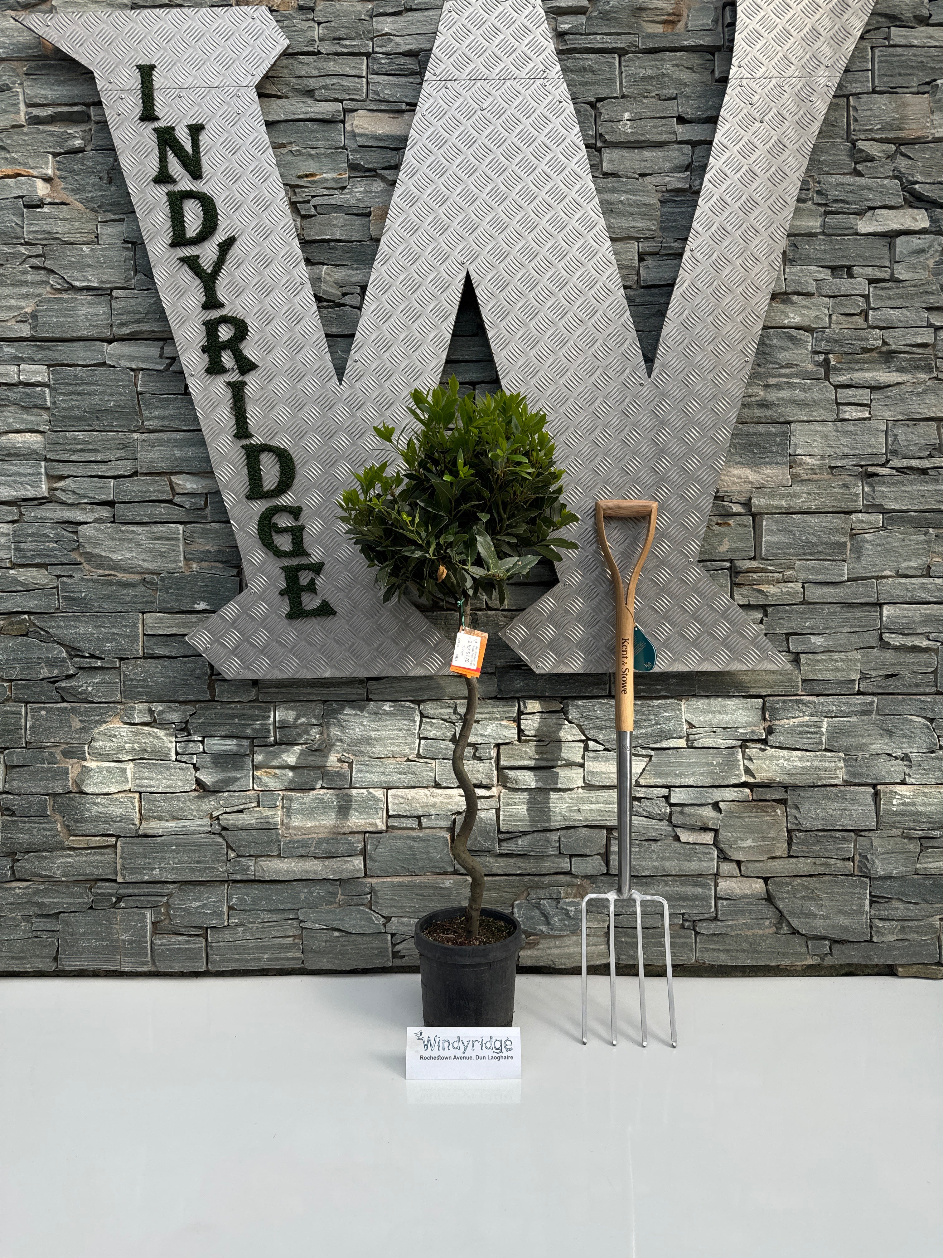 Bay Standard 1/2 Spiral Stem 35/40 Dia. pot 20cm - Image 3