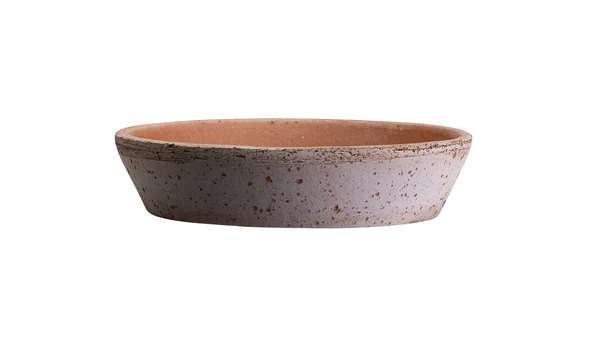 Bergs Rose, 25 cm, Saucer