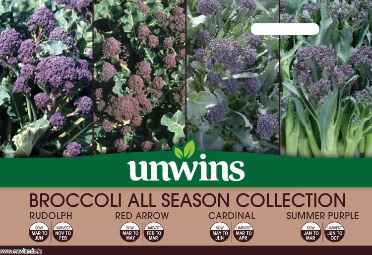 Broccoli All Season Collection