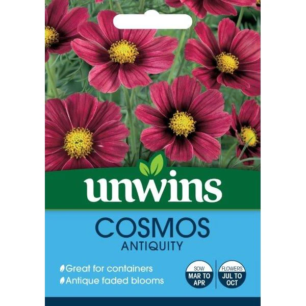 Cosmos Antiquity