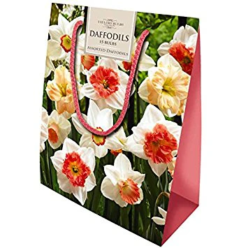 DAFFODIL BAG