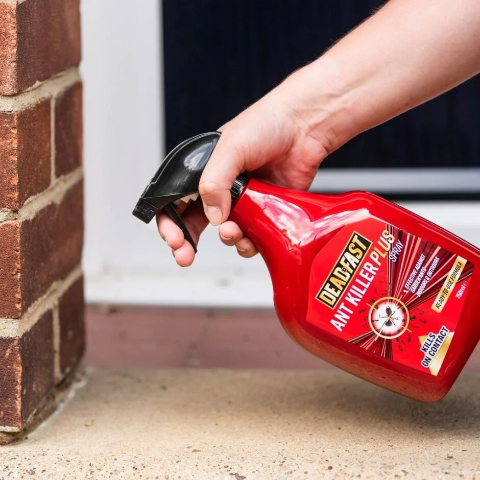 Deadfast Ant Killer Plus Spray 750ml - Image 2