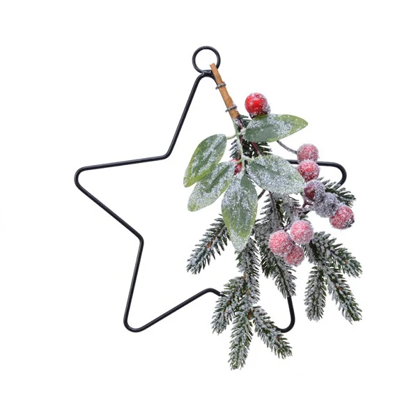 deco star berries green/colour(s)