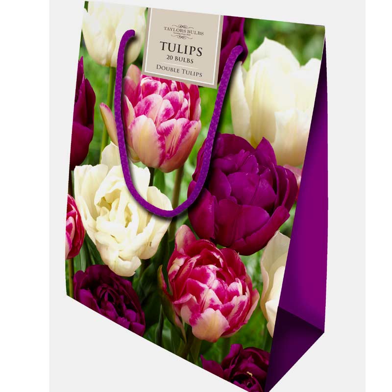 DOUBLE TULIP BAG