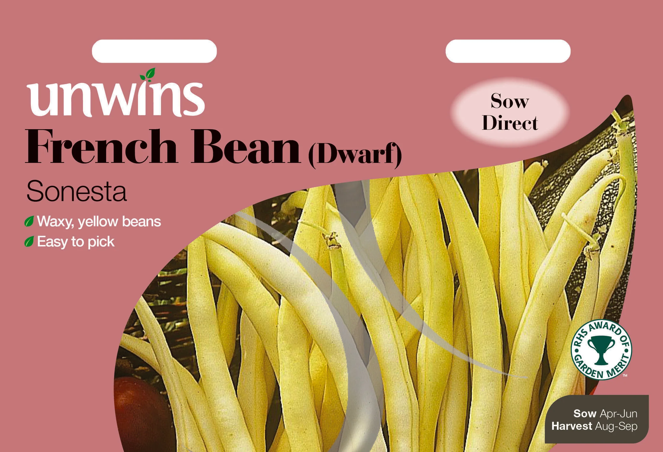 French Bean (Dwarf) Sonesta