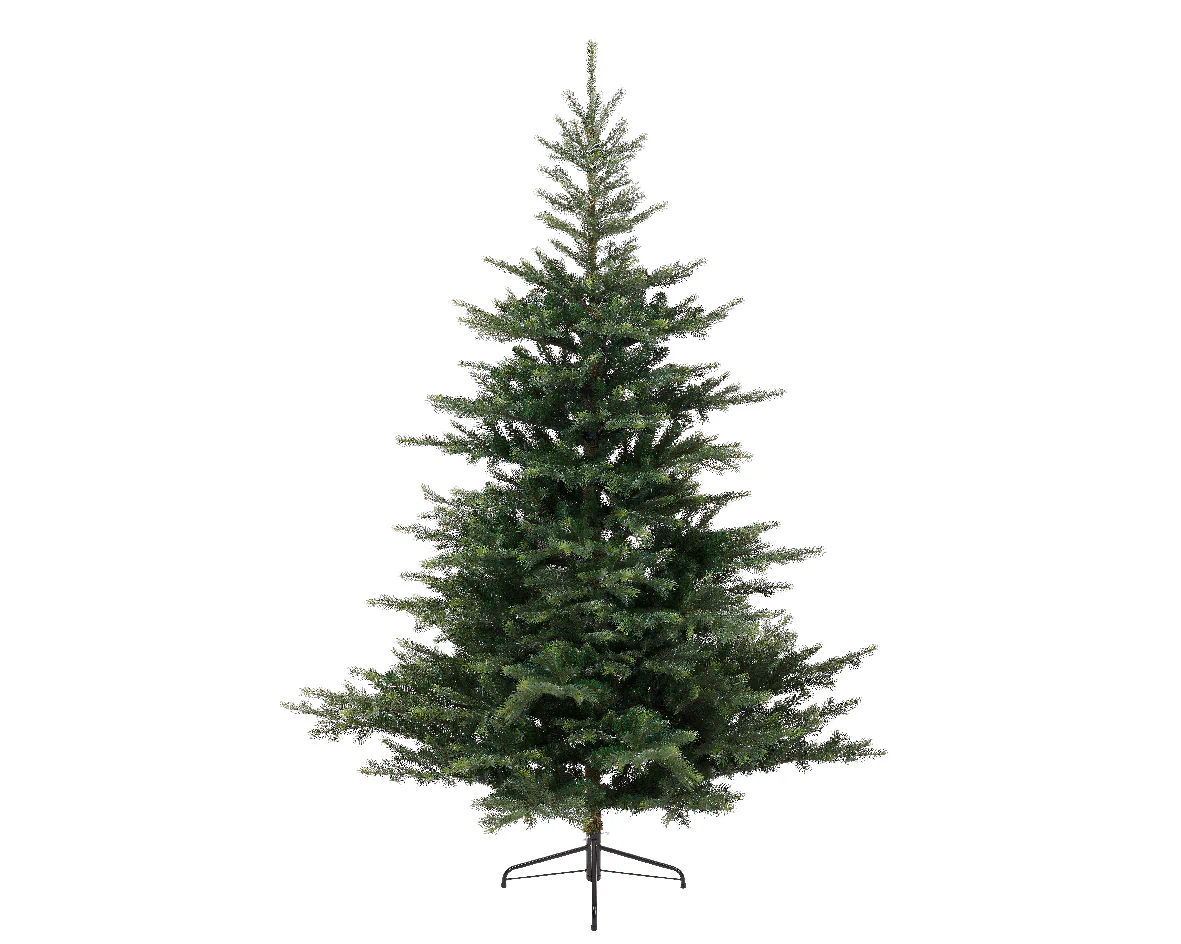 Grandis fir 180cm