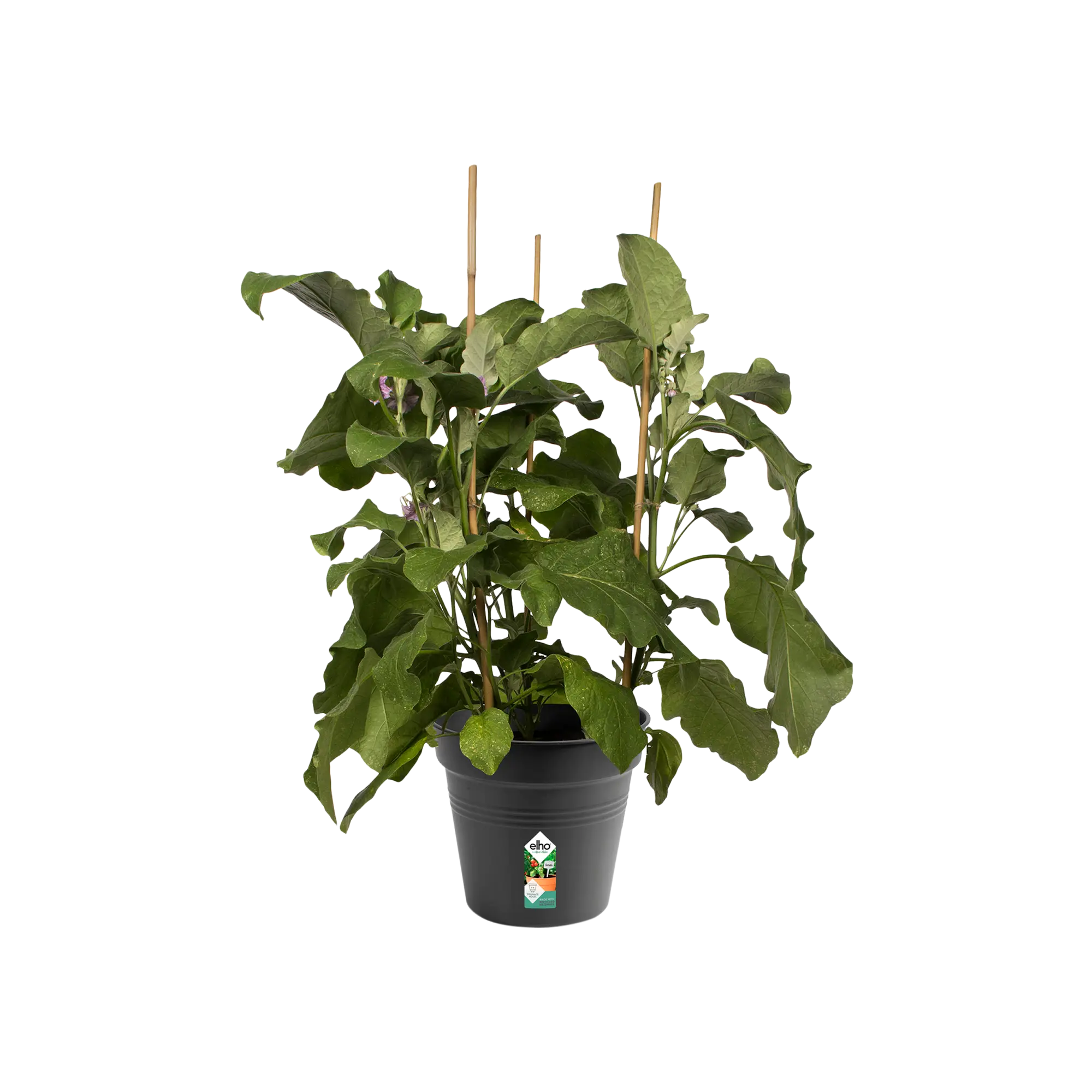 green basics growpot living black Ø27cm - Image 2
