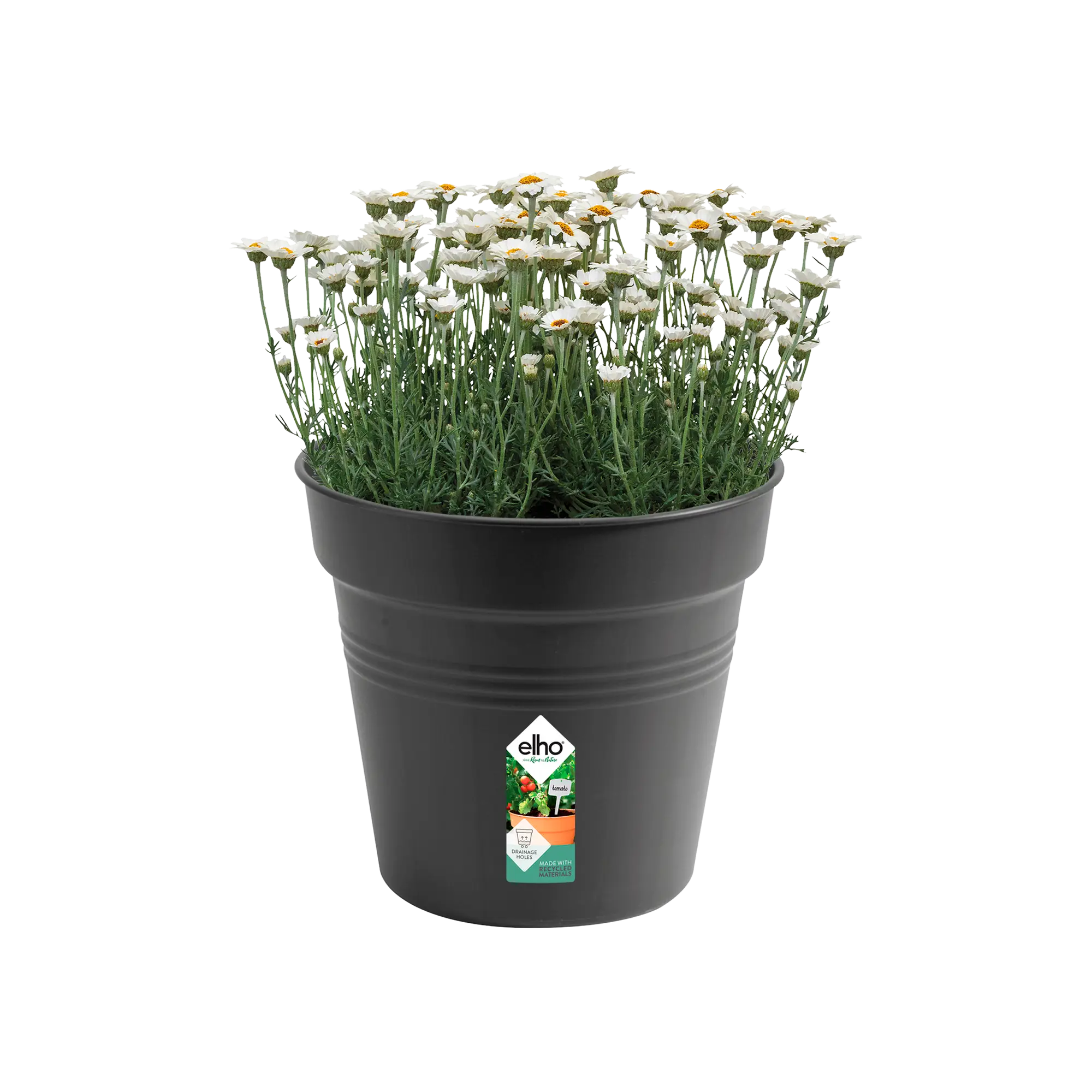 green basics growpot living black Ø40cm - Image 3
