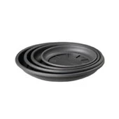 green basics saucer 10cm - Image 3