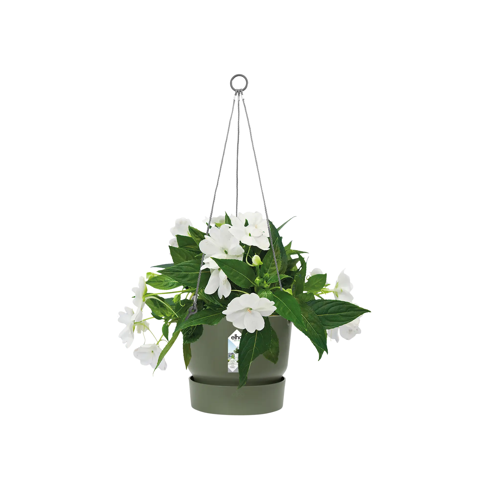 greenville hanging basket 24cm Leaf Green - Image 3