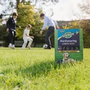 GS Hardwearing Lawn Seed 30m2 - Image 3