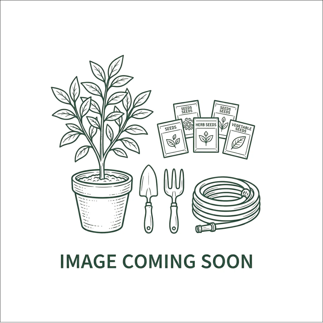 HEART TREE STAR MIX