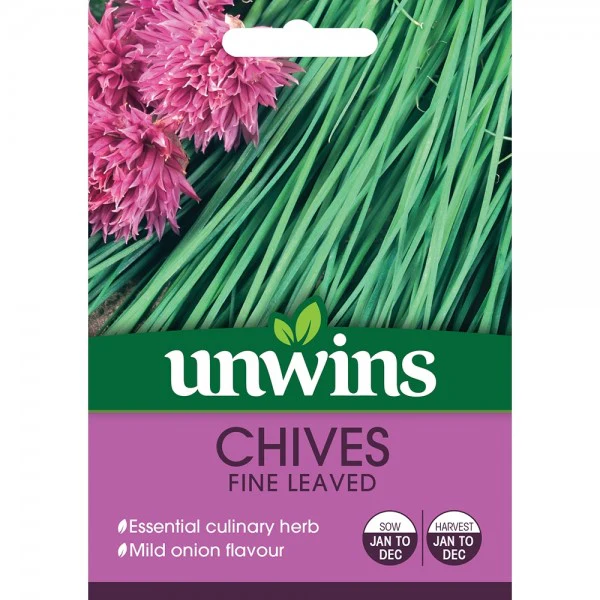 Herb Chives Fine Leaved