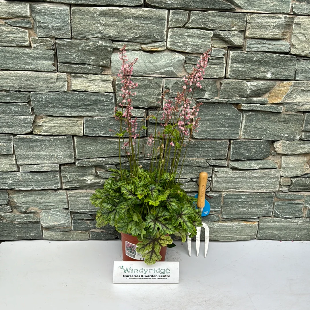 HEUCHERELLA Tapestry - Image 3