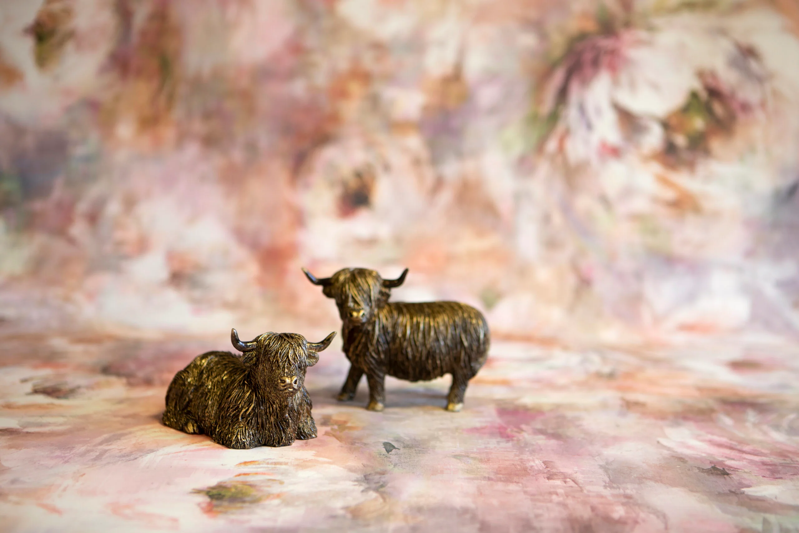 Highland Cow - Image 3