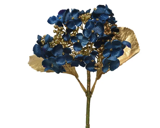 Hydrangea   hydrangea   on   stem Night blue