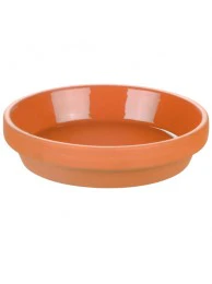 Inside Glazed Saucer 33cm