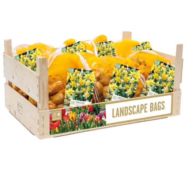 LANDSCAPE BAG NARCISSUS BOTANICAL MIXED COLOURS