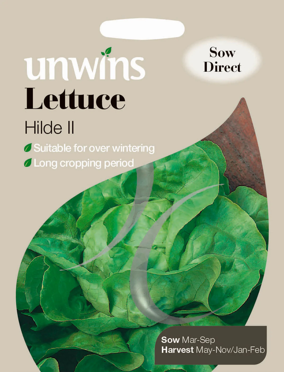 Lettuce Hilde II