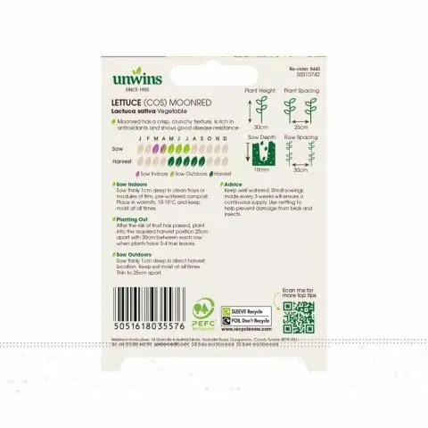 Lettuce Moonred (Little Gem Red) - Image 2