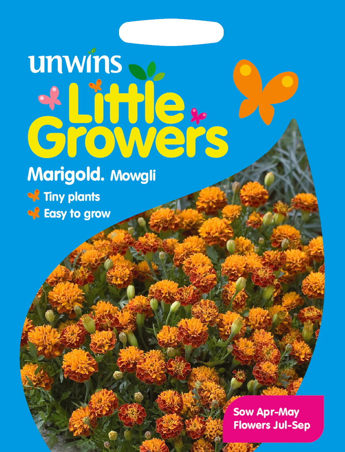 Little Growers Marigold Mowgli