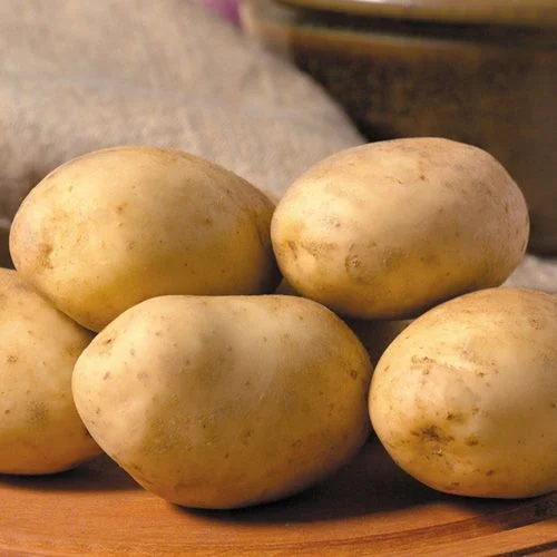 Maris Piper 2kg - Image 2