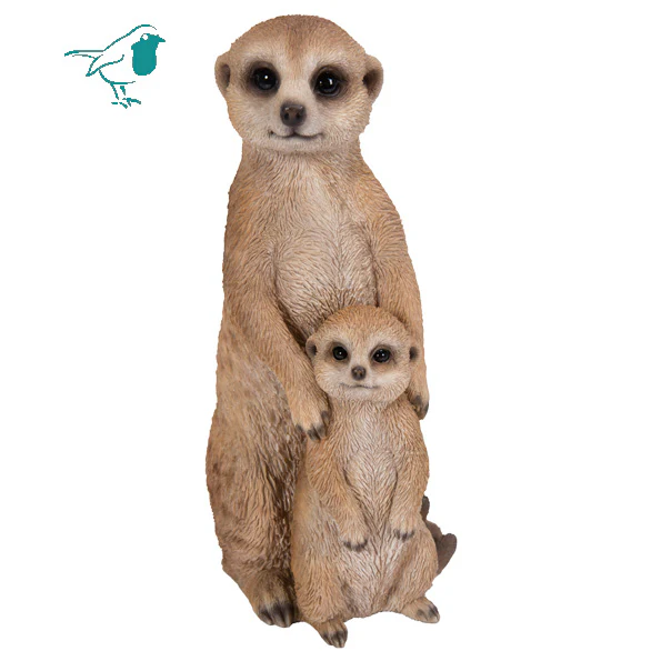 Mother and Baby Meerkat D