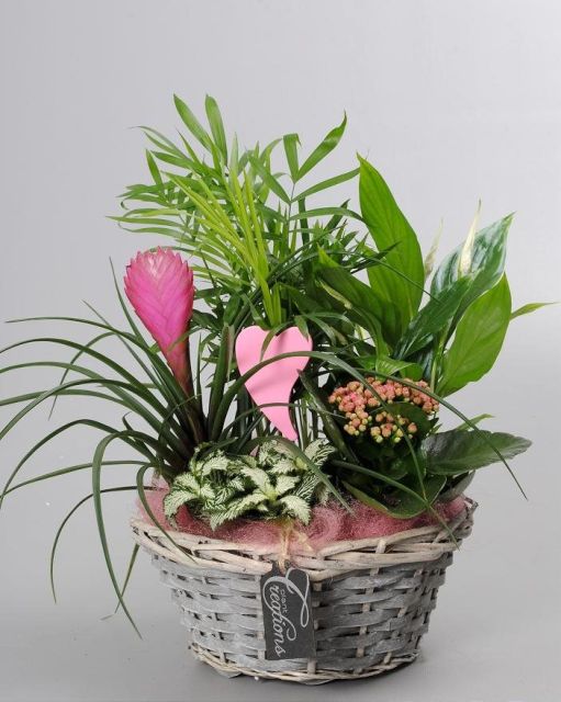 Mothers Day arrangement in a basket