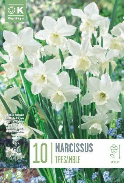 NAR TRESAMBLE X 10 - Image 2