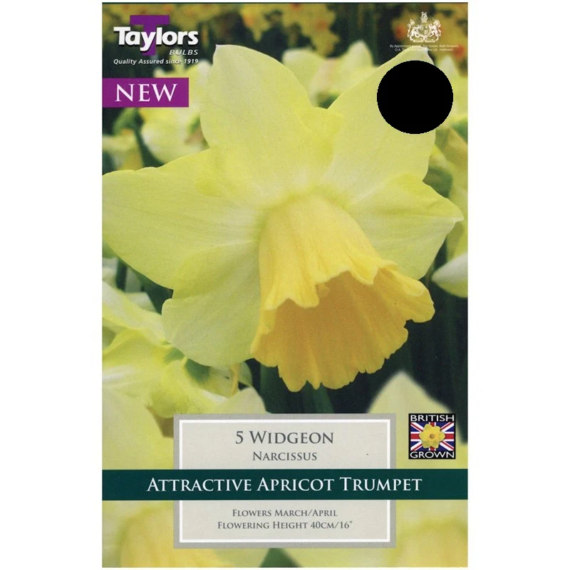 NARCISSI WIDGEON