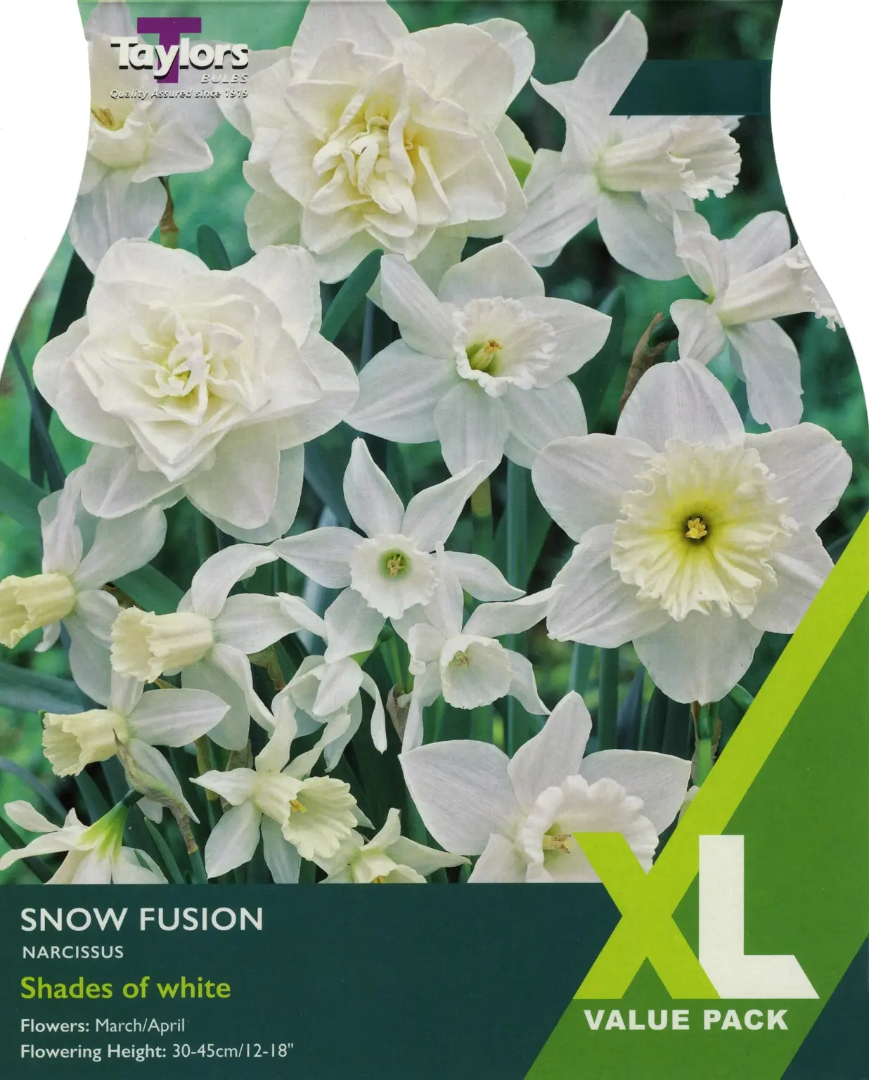 NARCISSUS SNOW FUSION 15