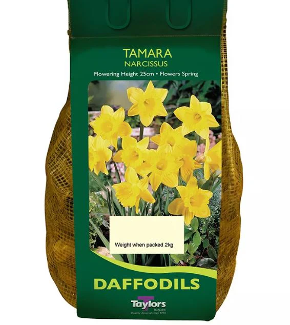 NARCISSUS TAMARA CARRI-PACK 1.5KG