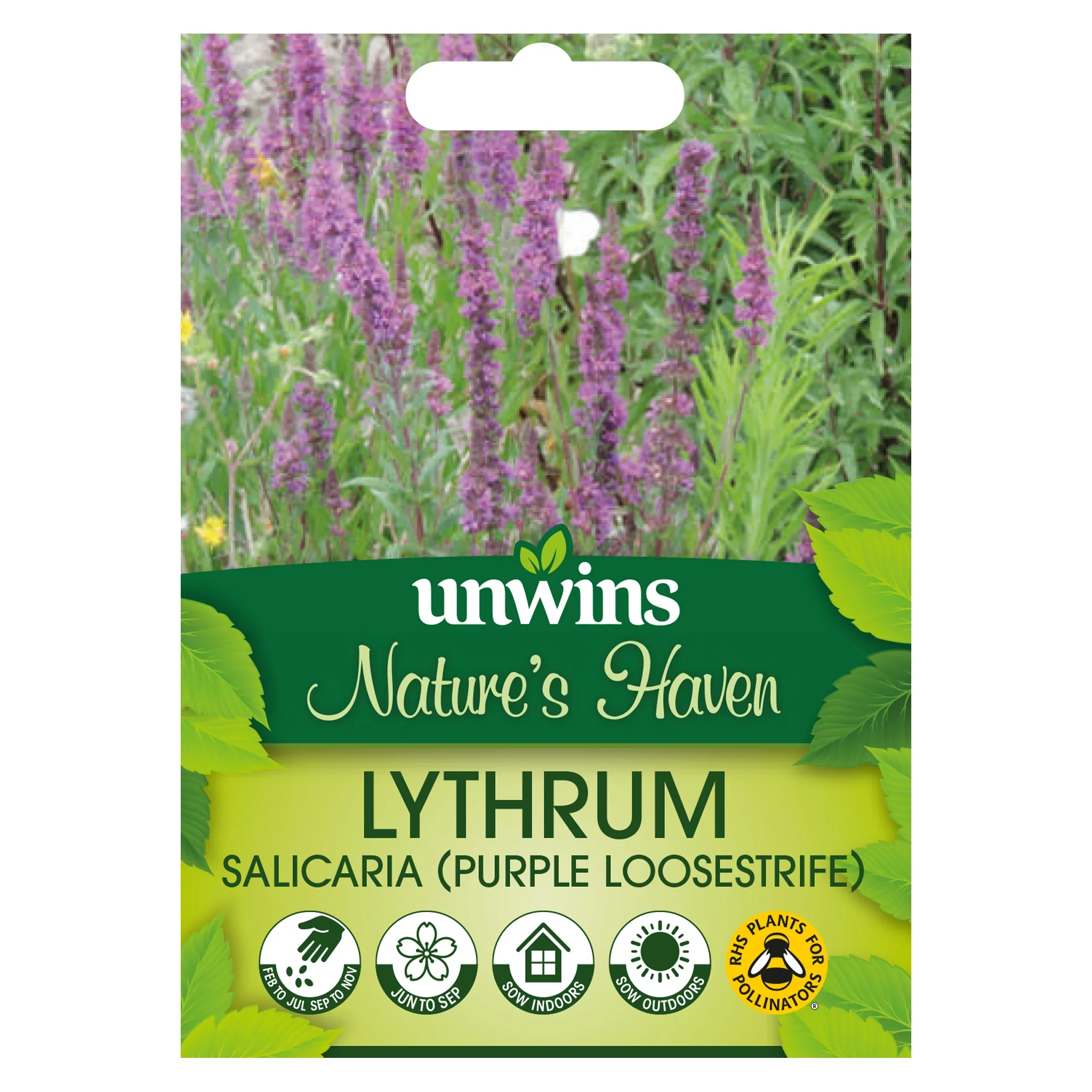 NH Purple LoosestrifeFlower - New 2023