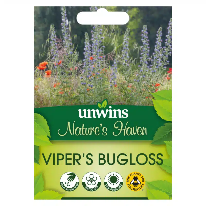 NH Viper s BuglossFlower - New 2023