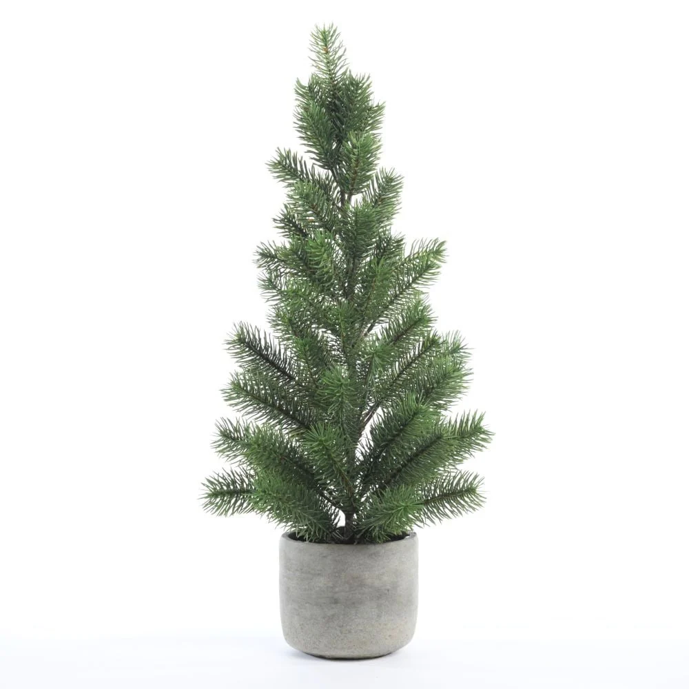 Nobilis in Ceramic Pot H60cm Green
