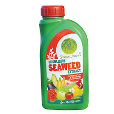 Ocean leaves seaweed fertiliser 500ml - Image 2