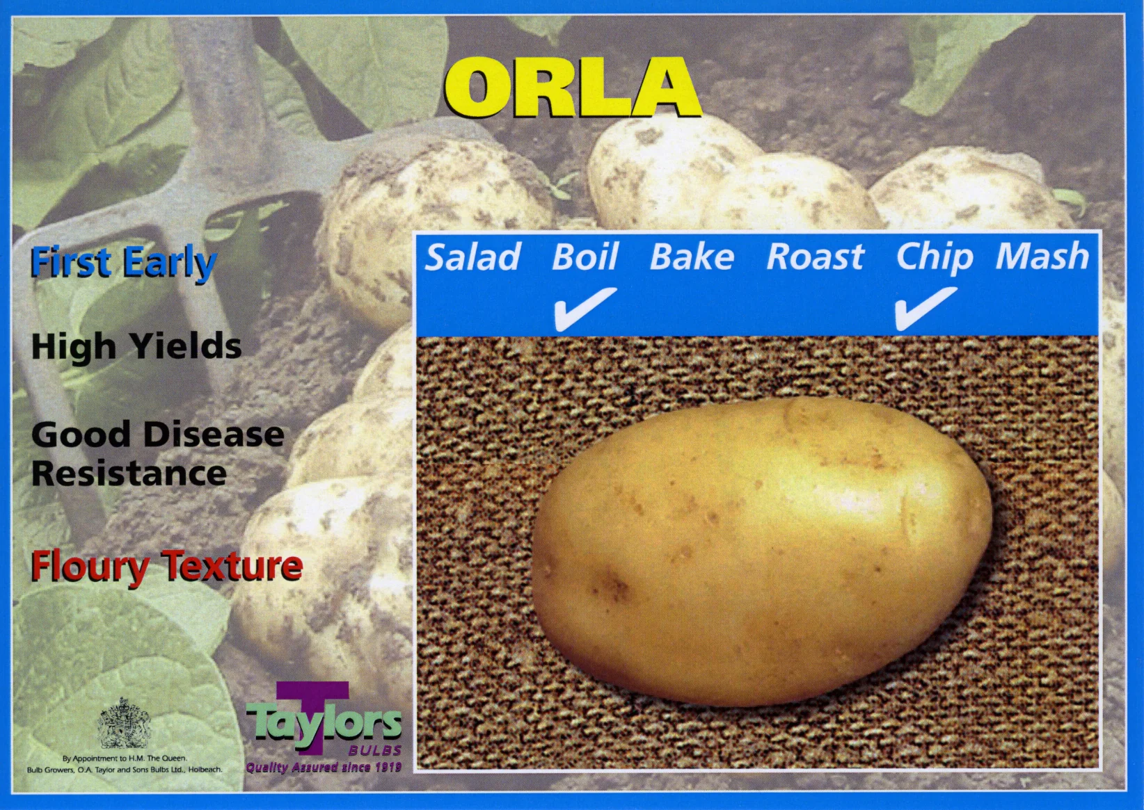 Orla 2kg