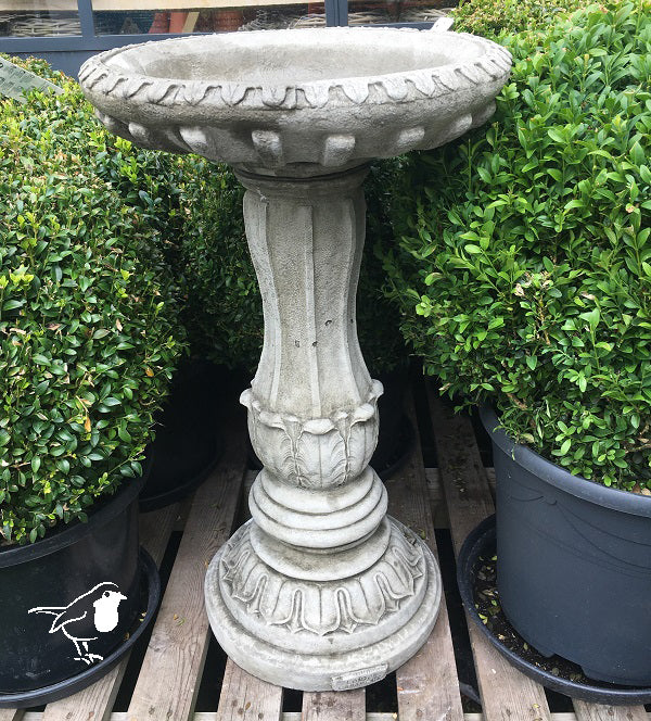 Parisian Birdbath