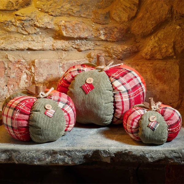 PatchPumpkin - XL - Image 2