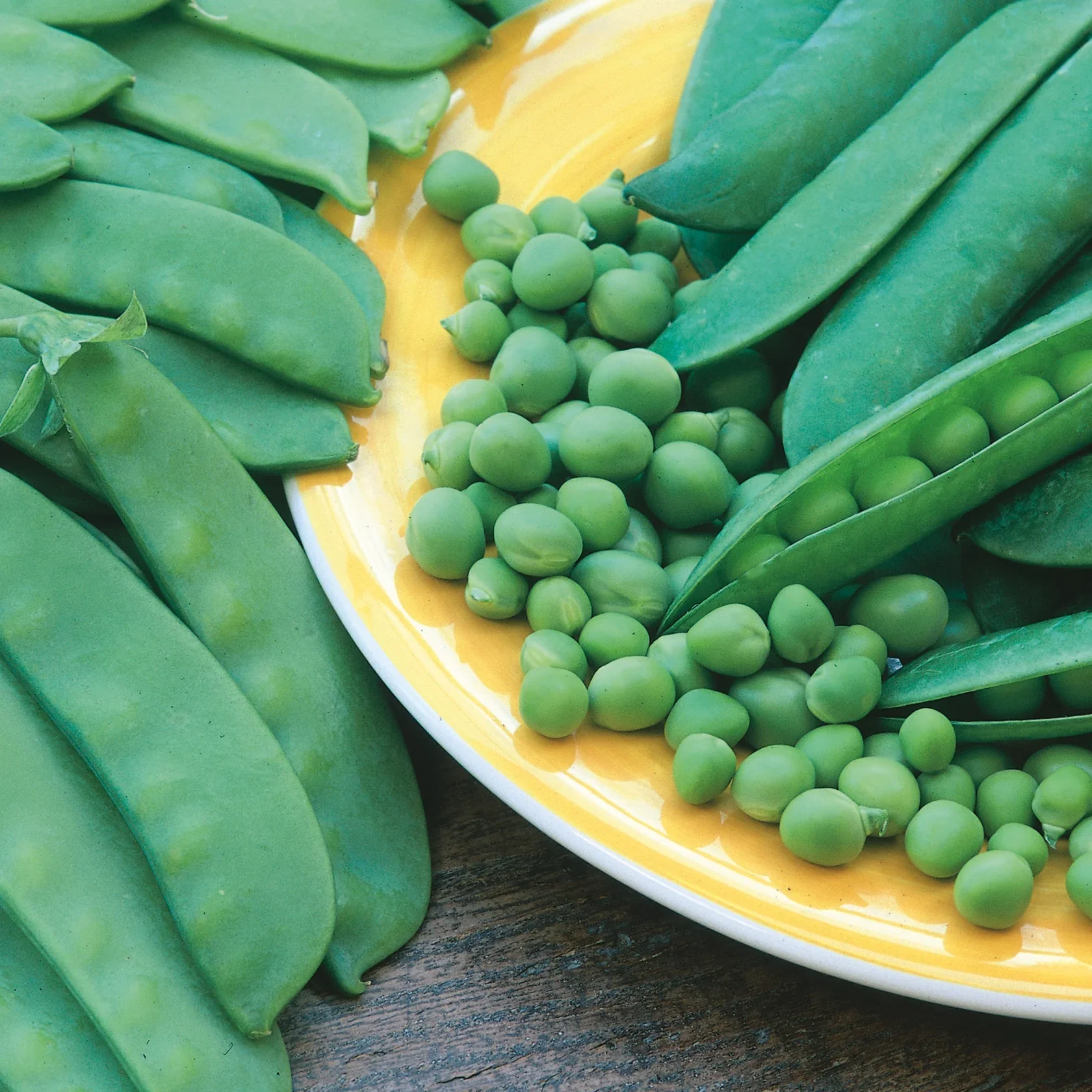 Pea (Mangetout) Delikata - Image 3