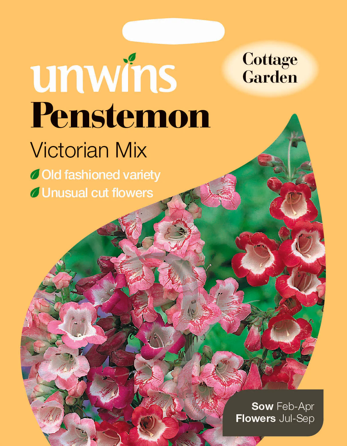 Penstemon Victorian Mix