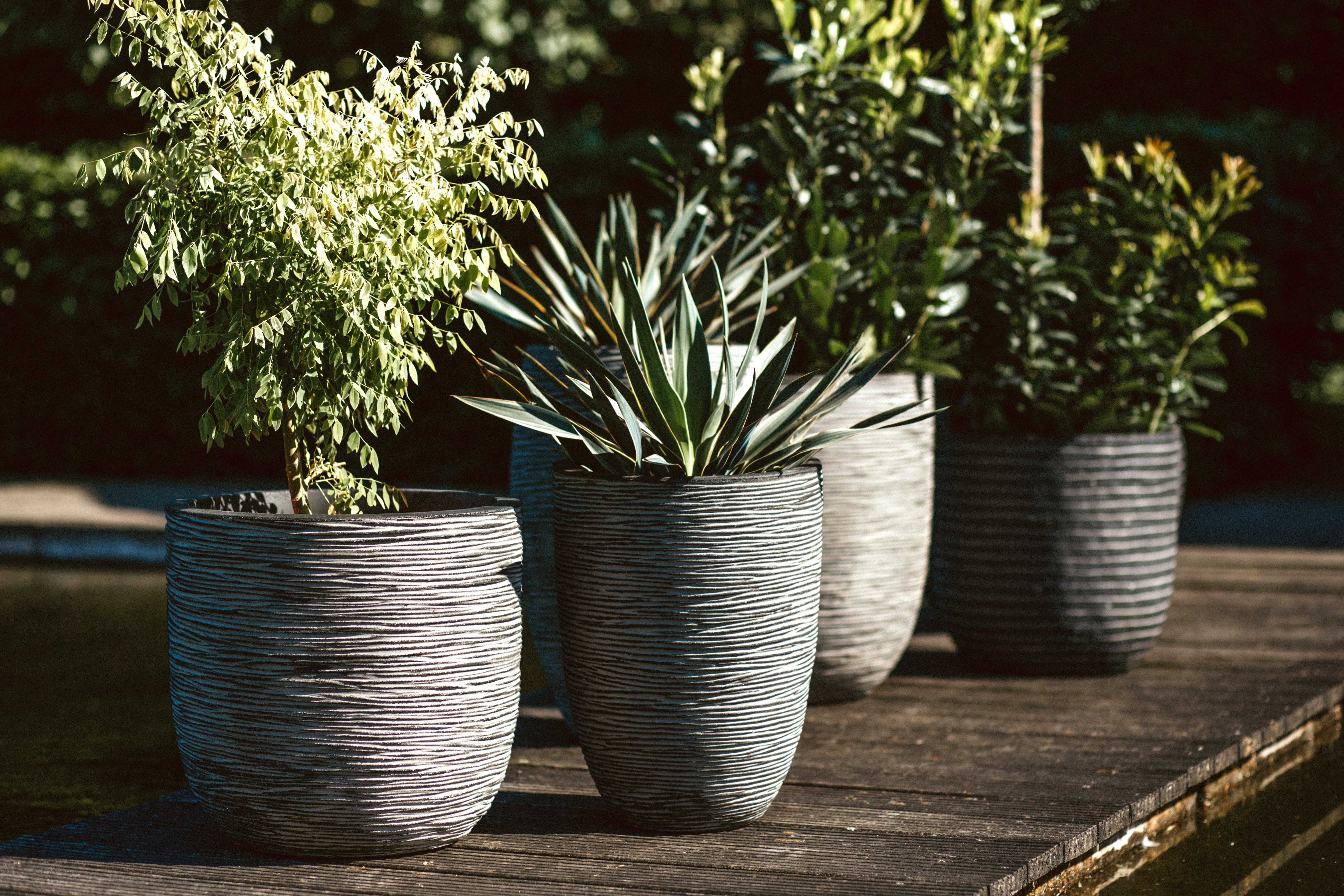 Planter ball Rib Ivory NL Ø35x34 - Image 3